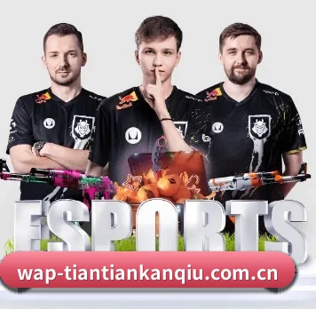 国际化进程