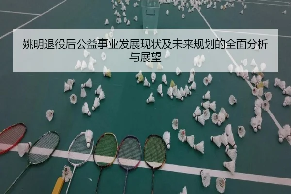 姚明退役后公益事业发展现状及未来规划的全面分析与展望